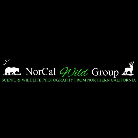 NorCal Wild Group
