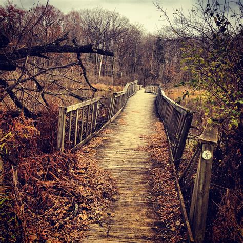 #creepy #bridge #outdoors #outside Evil Dead Movies, Creepy, Billy Goats Gruff, Haunted Forest ...