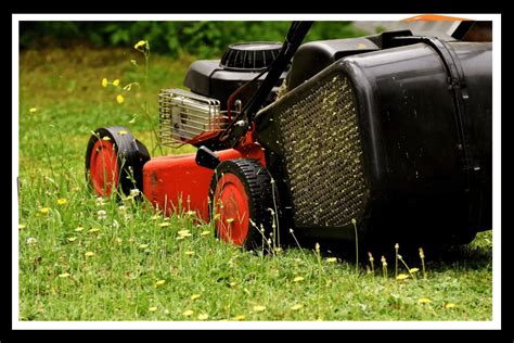 The Best Electric Lawn Mower 2024 | PowerVersity Guides