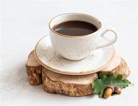 How to make acorn coffee and 2 health uses amazing recipe – Artofit