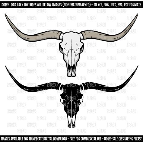 Longhorn Skull Cow Head Bull Cattle Skeleton Horns Clipart Symbol ...