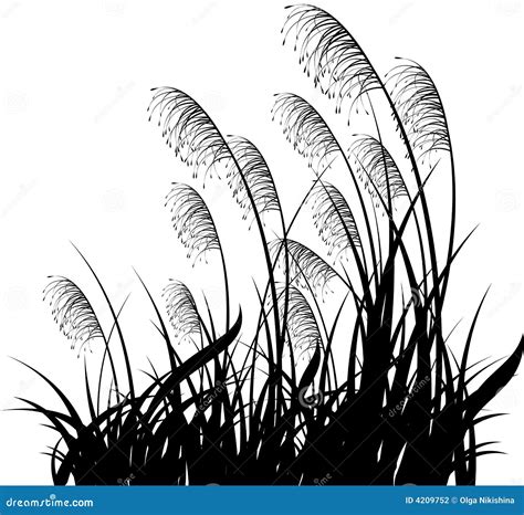 Grass stock vector. Illustration of outdoors, outline - 4209752