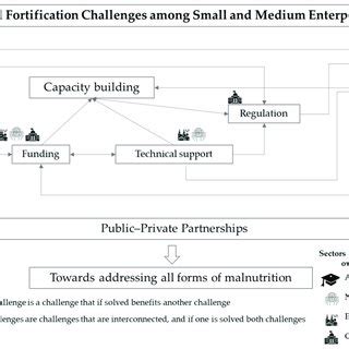 Overview of interconnected food fortification challenges and potential... | Download Scientific ...