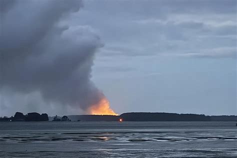 SunLive - Fire crews battle fire on Matakana Island - The Bay's News First