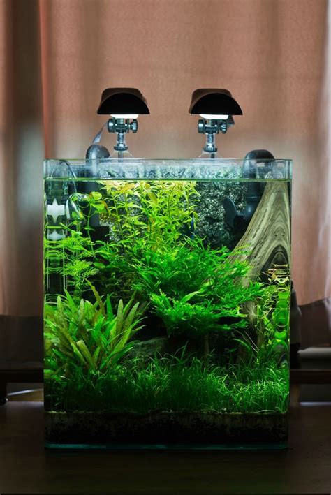 Nano Aquascape Fish Tank - Style Aqua