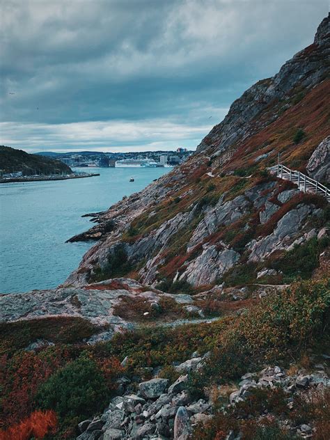 Newfoundland’s Brews & Views