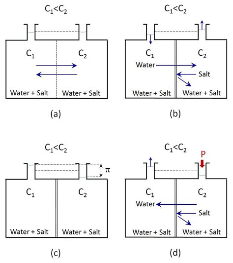 Reverse osmosis process and applications | Condorchem Enviro Solutions