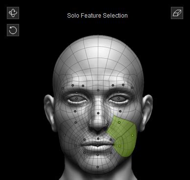 Setting Facial Expressions by Face Muscles