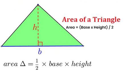 Understanding the Area of a Triangle: Unveiling the Mathematical Magic