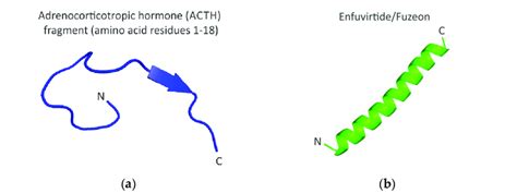 Structures of an adrenocorticotropic hormone (ACTH) fragment and ...