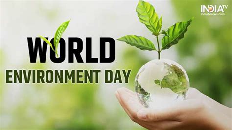 World Environment Day 2023: Date, Theme, History, Significance, other important details ...