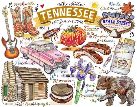 Tennessee Print Illustration State Symbols Nashville Smoky - Etsy | State symbols, Tennessee ...