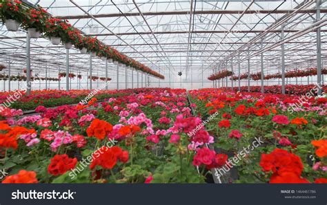 741,219 Greenhouse Images, Stock Photos & Vectors | Shutterstock