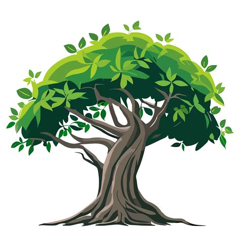 semple Banyan Tree png clipart transparent background free 23790913 PNG