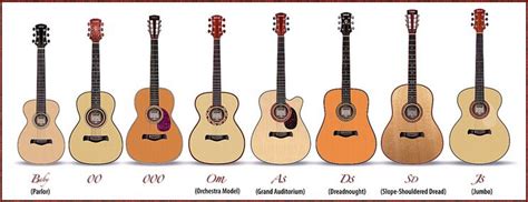 Graphic body size comparison | Acoustic guitar, Best acoustic guitar ...