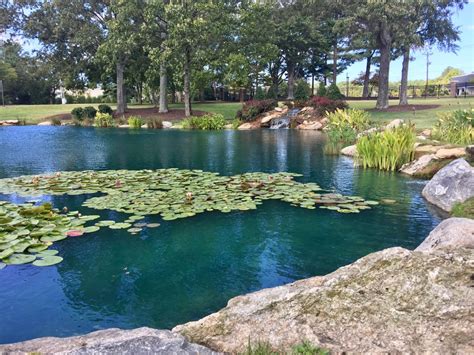 Pond Dye - Is It Worth the Money? / Platinum Ponds & Lake Management ...