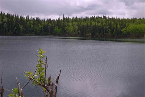 Flickriver: Most interesting photos from Dease Lake, British Columbia ...