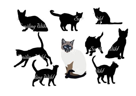 Siamese cat silhouette vector graphic art svg Siamkatze png | Etsy