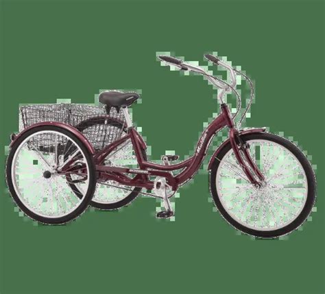 Best Tricycles with Basket for Adults in 2024 - TricycleHub