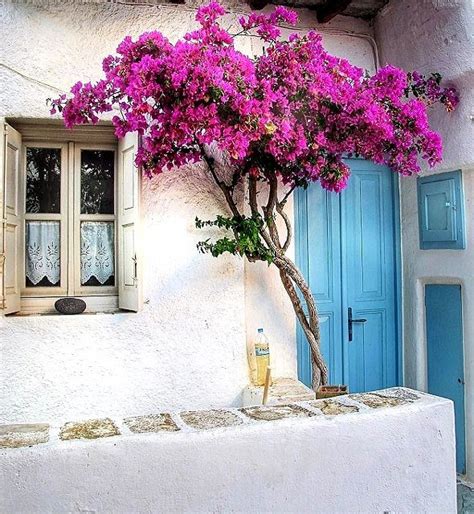 In the streets of Chora, Folegandros Island, Greece | by missgoa ...