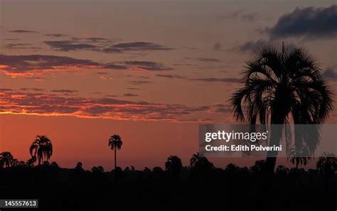 El Palmar National Park Photos and Premium High Res Pictures - Getty Images