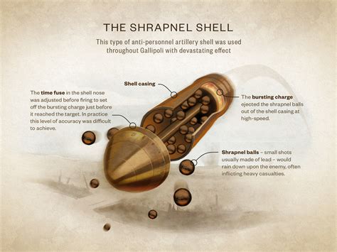 The shrapnel shell | Ngā Tapuwae Trails