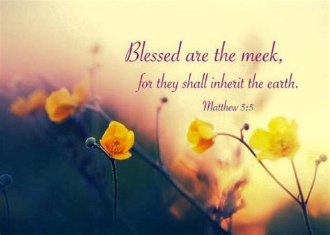 Matthew 5:5 Blessed are the meek, for they shall inherit the earth - Christian Pictures Blog