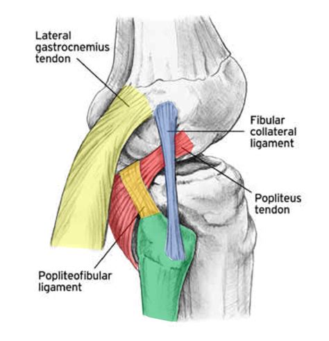 Posterior lateral corner injury