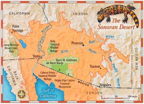 Southwestern Deserts Map - Paul Mirocha Design