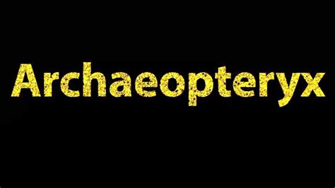 How To Pronounce Archaeopteryx - YouTube