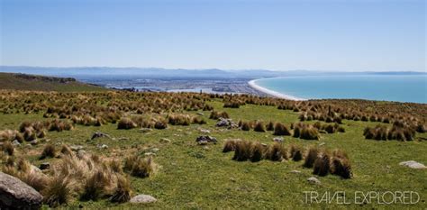 Hiking Godley Head - New Zealand - Travel Explored