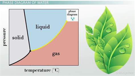 Liquid Chlorine Phase Diagram Chlorination Water Figure Trea