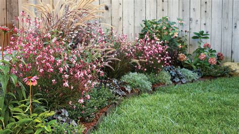 Gorgeous Garden Border Design Ideas for Any Yard in the West - Sunset