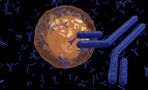 Molecular Immunogenetics of Cancer