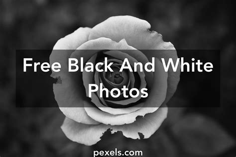 Free black and white photography · Pexels · Free Stock Photos