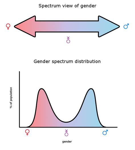 Gender Spectrum