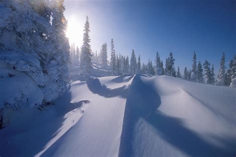 Winter Scene, Labrador, Newfoundland Photograph by Jerry Kobalenko