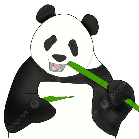 Panda Png Image Vector Panda Eating Bamboo Transparent Png X | The Best ...