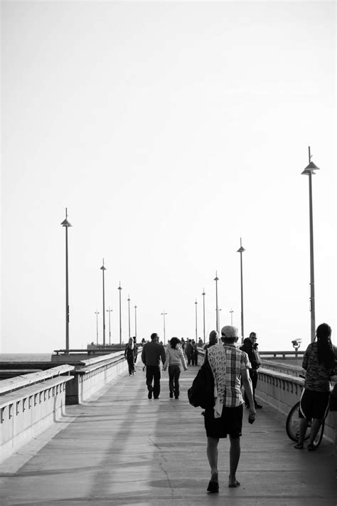 Kostenlose foto : Strand, Baum, Schwarz und weiß, Straße, Fotografie ...