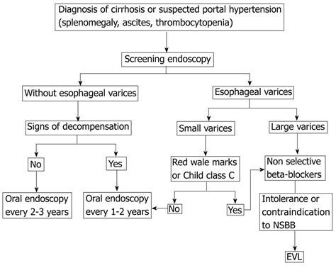 Esophageal Varices