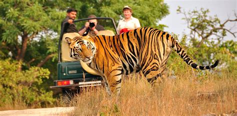 Book Nainital Jim Corbett Tour Package - Balaji Travels