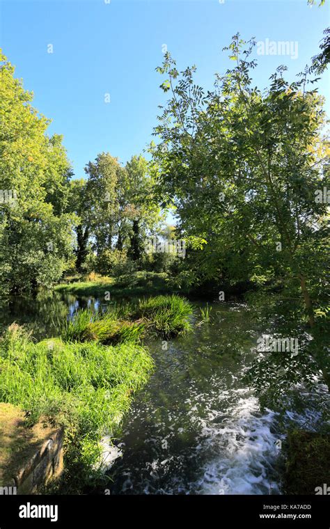 Summer Warmington watermill, river Nene, Warmington village, Northamptonshire county, England ...