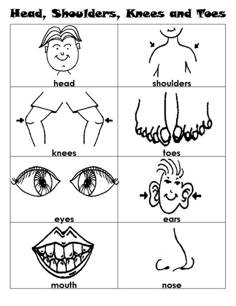 head shoulders knees and toes worksheet - Pesquisa Google | Activities for children | Pinterest ...