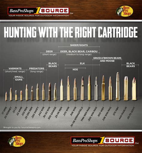 Rifle Ammunition Sizes Comparison Chart