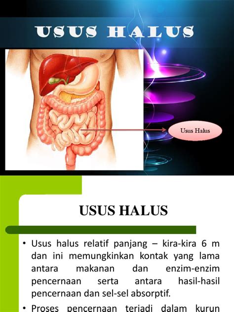 USUS HALUS