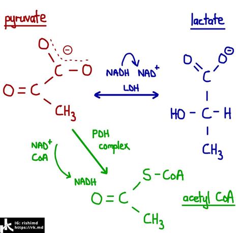 Lactic Acidosis | RK.MD