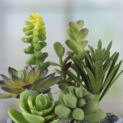 Assorted Artificial Succulents - Artificial Greenery - Florals - Craft Supplies - Factory Direct ...