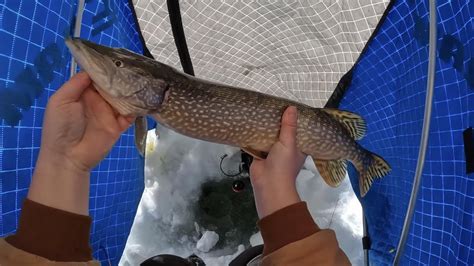 Fire on the Ice! : r/IceFishing