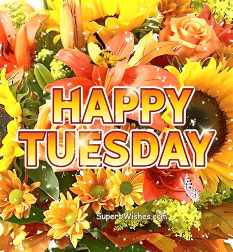 Happy Tuesday GIF With Colorful Tea Cups | SuperbWishes.com