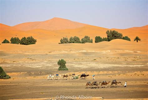 Colors of the Sahara Desert: A Travel Photography Exposé | Albom Adventures